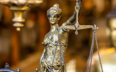 Bioethics and the Universal Declaration of Rights