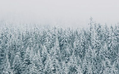 Un lugar contra el frío (A Place Against the Cold)