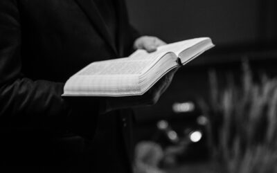 The Constitution of the Dominican Republic Commented by Judges of the Judiciary