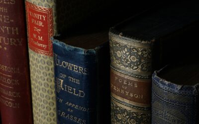 Literature as a form of knowledge